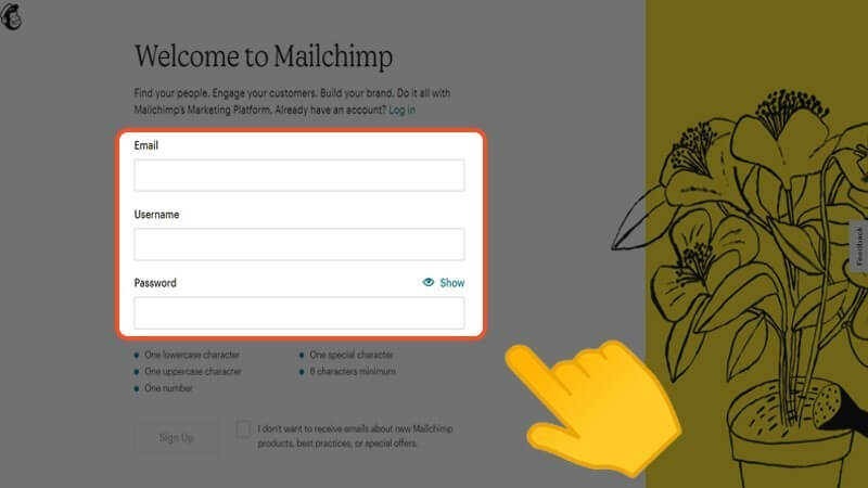 Mailchimp là gì