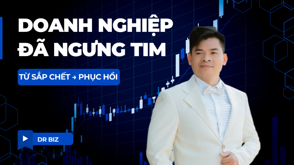Case study doanh nghiệp từ sắp chết đến phục hồi - Dr Biz
